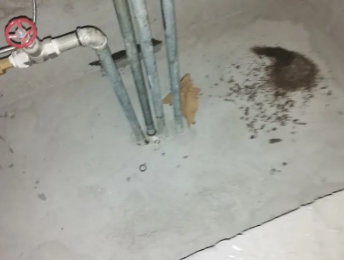 万年卫生间测漏水价格明细