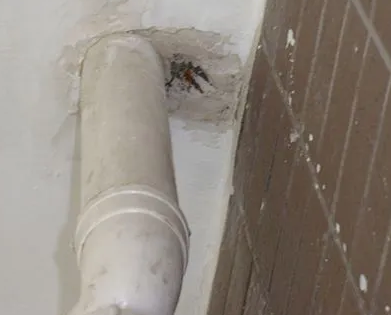 万年漏水检测哪家好